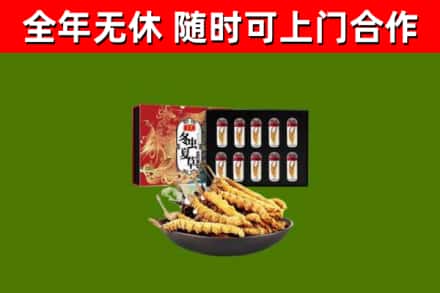 桂东回收冬虫夏草价格